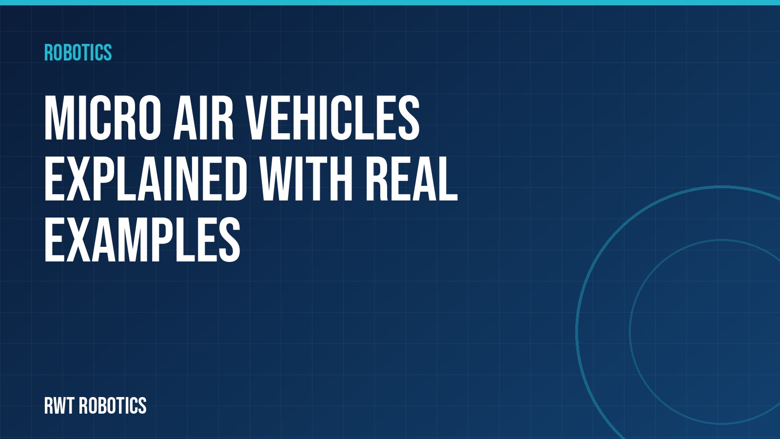 Micro Air Vehicles Explained With Real Examples