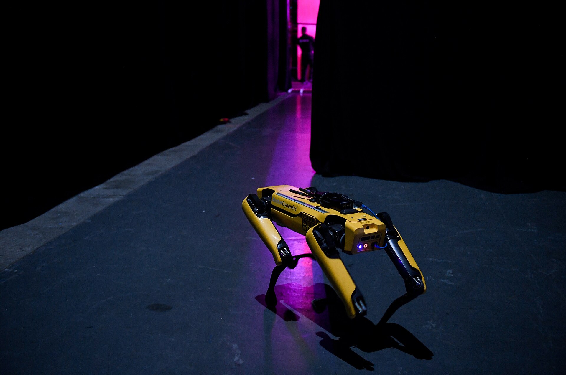 Robot dogs and what modern models can do