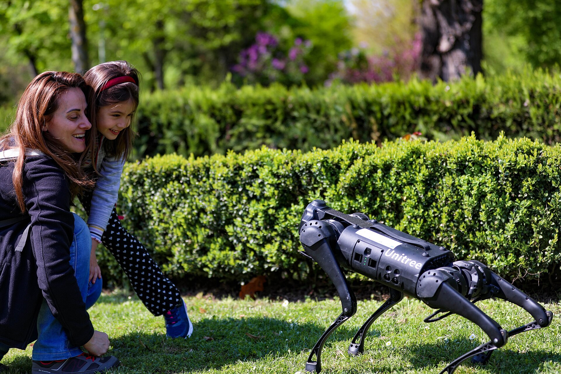 Unitree Robotics